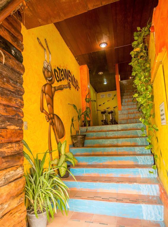 Hotel El Hormiguero Playa del Carmen Eksteriør bilde